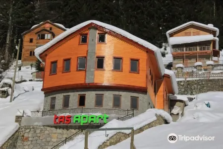 Ayder Suit Отели в г. Yukarisimsirli Koyu