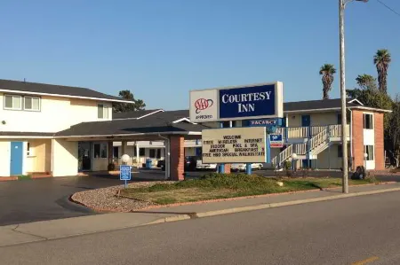 Coast Riders Inn Отели рядом с достопримечательностью «Friends Of The Elephant Seal»