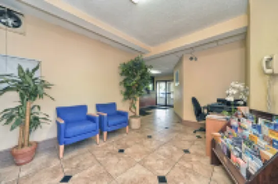 เรดคาร์เพทอินน์ โรงแรมในสแตมฟอร์ด