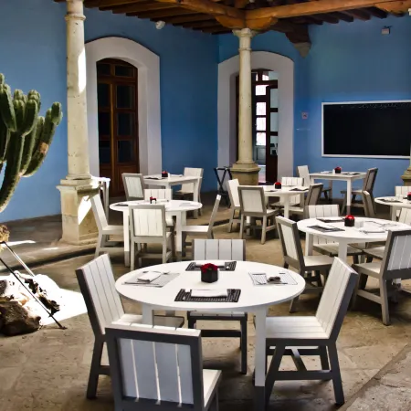 Azul Oaxaca+ Gallery
