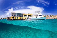 Buddy Dive Resort