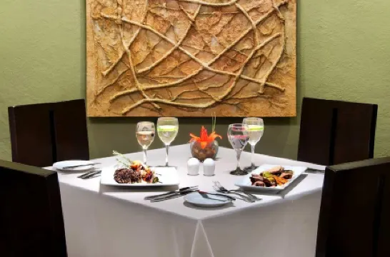 Hilton Mexico City Airport