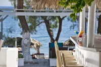 Alesahne Beach Hotel - bar