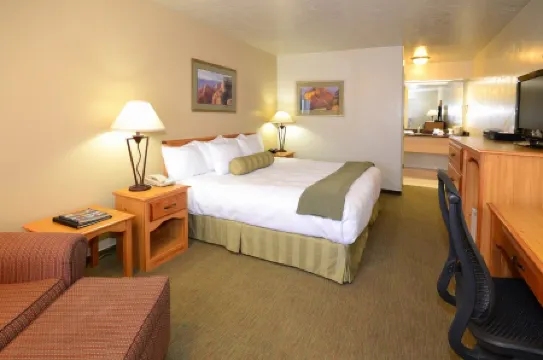 Dinosaur Inn & Suites