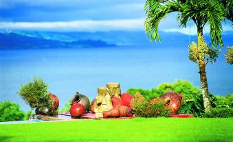 a group of vases with plants and a few smaller containers are on a grassy hill overlooking the ocean at Hotel la Mansion Inn Arenal