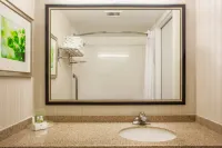Holiday Inn Toronto International Airport