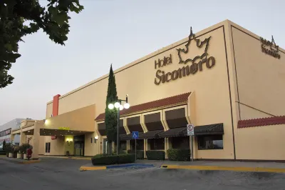 Hotel Sicomoro Hotels in Chihuahua