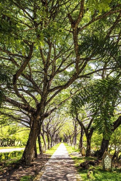 ホテル周辺 ウェスティン ランカウイ リゾート&スパの写真
