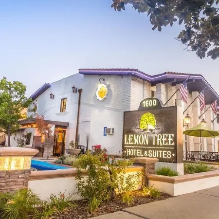 The Lemon Tree Hotel