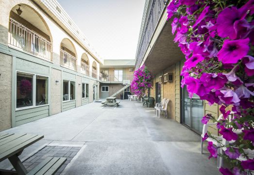 이코노 로지 버넌