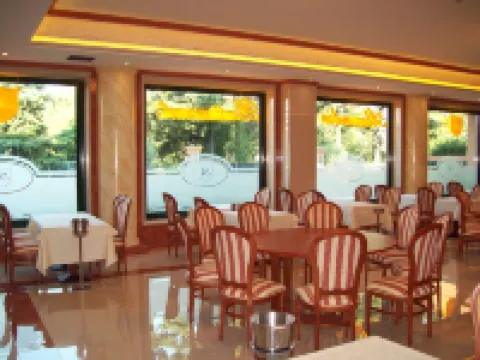 Palace Hotel Legnano Hotels in Legnano
