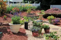 Best Western Fredericksburg Hotels in Fredericksburg