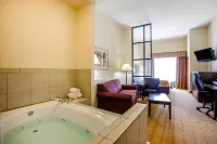 Comfort Suites Byron Warner Robins - Badekar