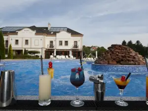 Hotel Villa Völgy Wellness & Konferencia