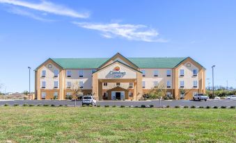 Comfort Inn Lexington South