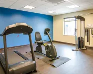 Comfort Inn & Suites Lynchburg Airport - University Area - Gym