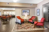 Comfort Inn South Chesterfield - Colonial Heights Hotels in Bermuda