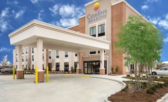 Comfort Inn & Suites Zachary