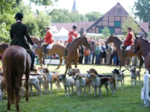 Gut Basthorst Restaurant & Hotel & Wohnmobil-Dinner Hotels in Basthorst