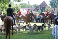 Gut Basthorst Restaurant & Hotel & Wohnmobil-Dinner Hotels in Labenz