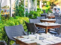 Xenios Dolphin Beach Hotel