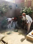 Riad Viva Hotels in 