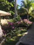 Palm Residence Hotels in Fermate