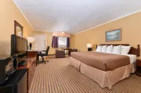 Executive Plus Inn and Suites - Kæledyr tilladt