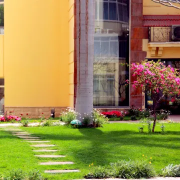 Soluxe Cairo Hotel