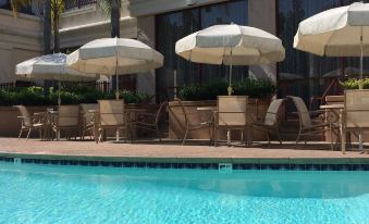 a large swimming pool with several lounge chairs and umbrellas surrounding it , creating a relaxing atmosphere at Grand Hotel