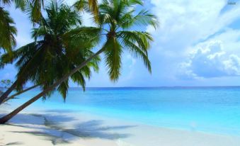 Sun Tan Beach Hotel at Maafushi