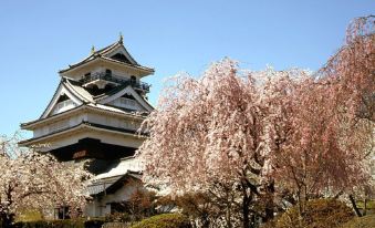 Zaimoku Sakaeya Ryokan