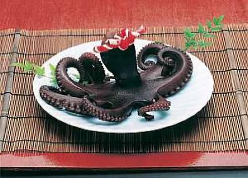 あさひの宿 あつ美やマリンパークホテル 知多郡 を宿泊予約 22年安い料金プラン 口コミ 部屋写真 Trip Com