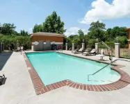 Comfort Suites Oil Center - Pools