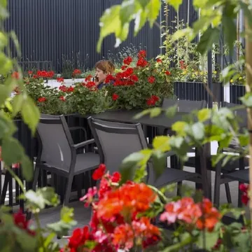 Hotel Sana