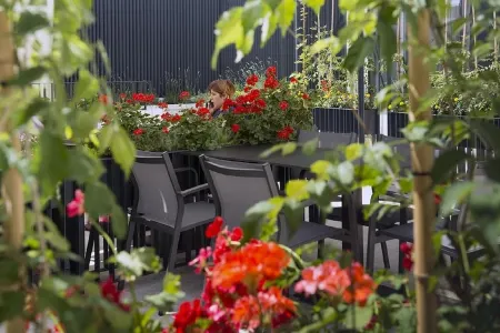 Hotel Sana Отели рядом с достопримечательностью «Мэрия г. Сараево»