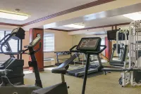 Quality Inn & Suites Detroit Metro Airport - Gym