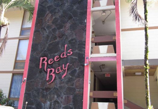 3. 힐로 리드 베이..