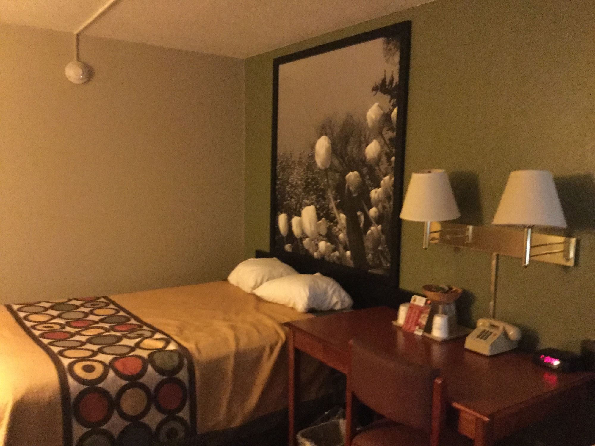 Super 8 by Wyndham Youngstown/Austintown