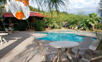 a beautiful outdoor pool area with palm trees , umbrellas , and tables set up for dining or relaxation at North Texas Jellystone Park