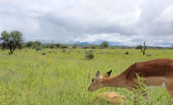 Auas Safari Lodge