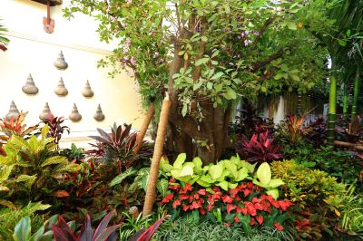 庭 ヴィアンルアン リゾートの写真