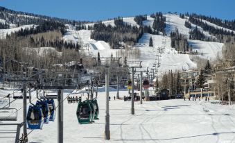 Terracehouse - CoralTree Residence Collection