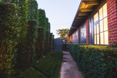 Garden The Houston Photo