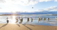 El Motor Inn Hotels in Port Macquarie