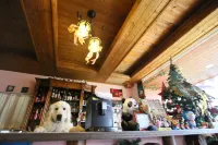 南投清境白熊屋