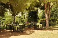 Green Peace Hotel