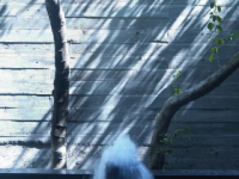 Onsen Papawaqa Hotels in Miaoli