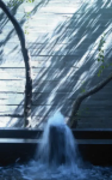 Onsen Papawaqa Hotels in 