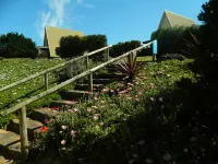 Island Breeze Motel